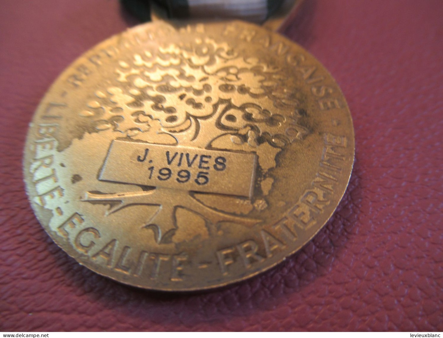 Médaille Française/R F /Ancienneté/OR /  Communale-Régionale-Départementale/J. VIVES/ 1995    MED527 - Autres & Non Classés