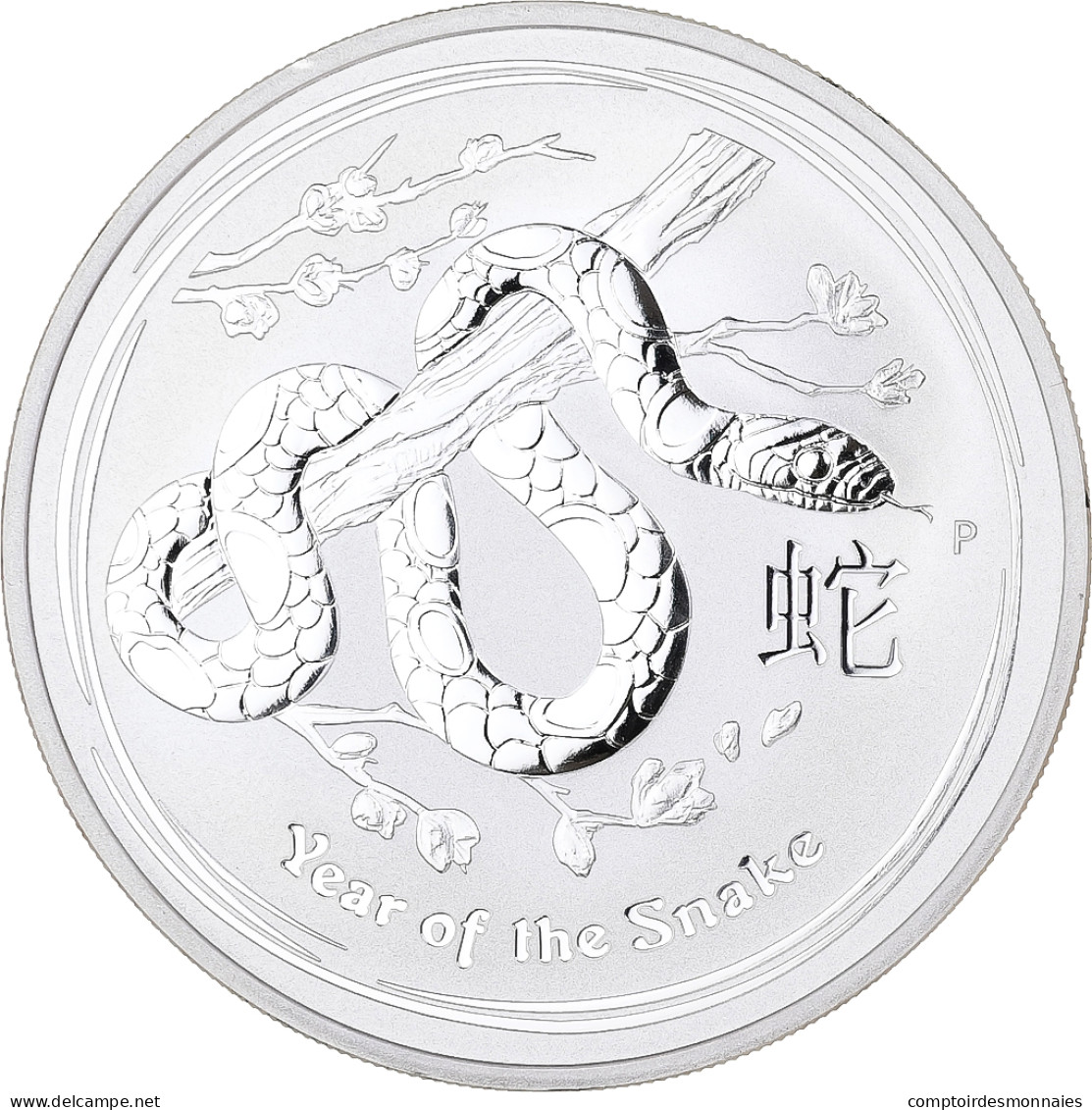 Australie, Elizabeth II, Dollar, 2013, Perth, Year Of The Snake, Argent, FDC - Silver Bullions