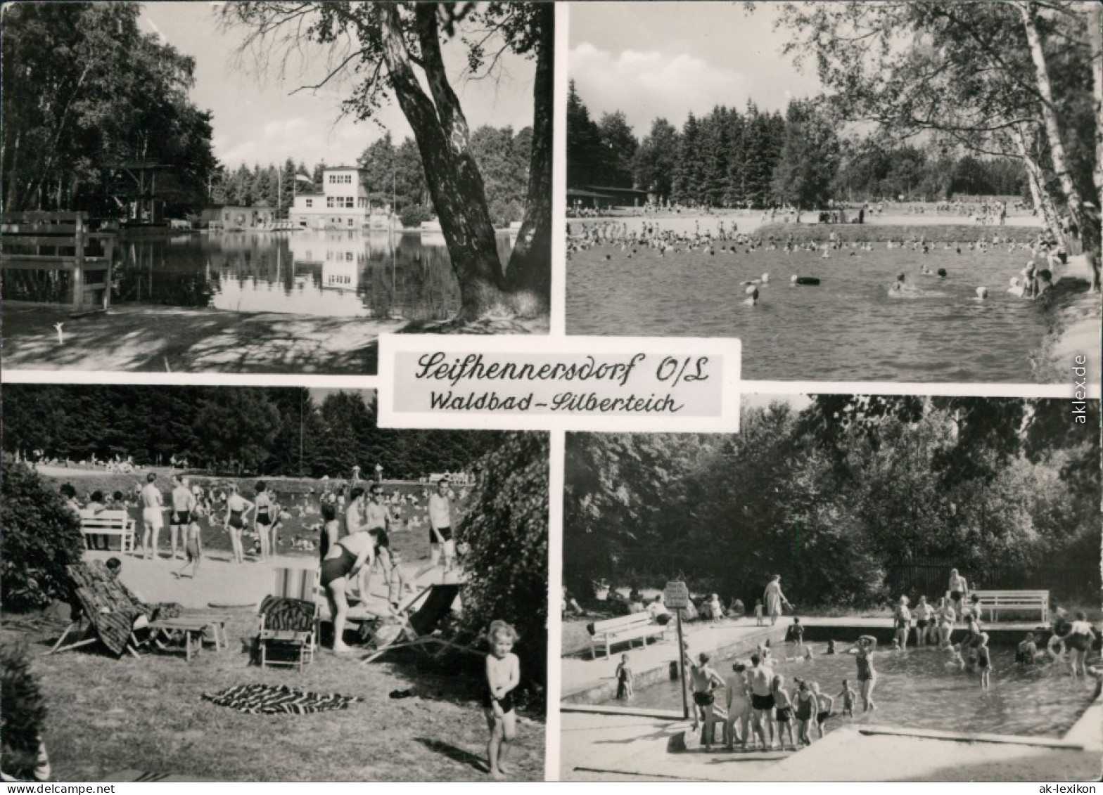 Seifhennersdorf Waldbad Silberteich - Schwimmer Und Kleinbecken Besuchern 1961 - Seifhennersdorf