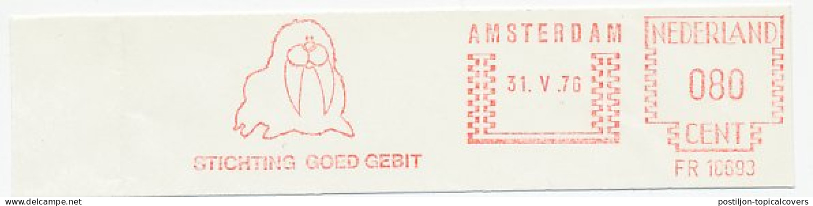 Meter Cut Netherlands 1976 Walrus - Good Teeth - Dental - Otros & Sin Clasificación
