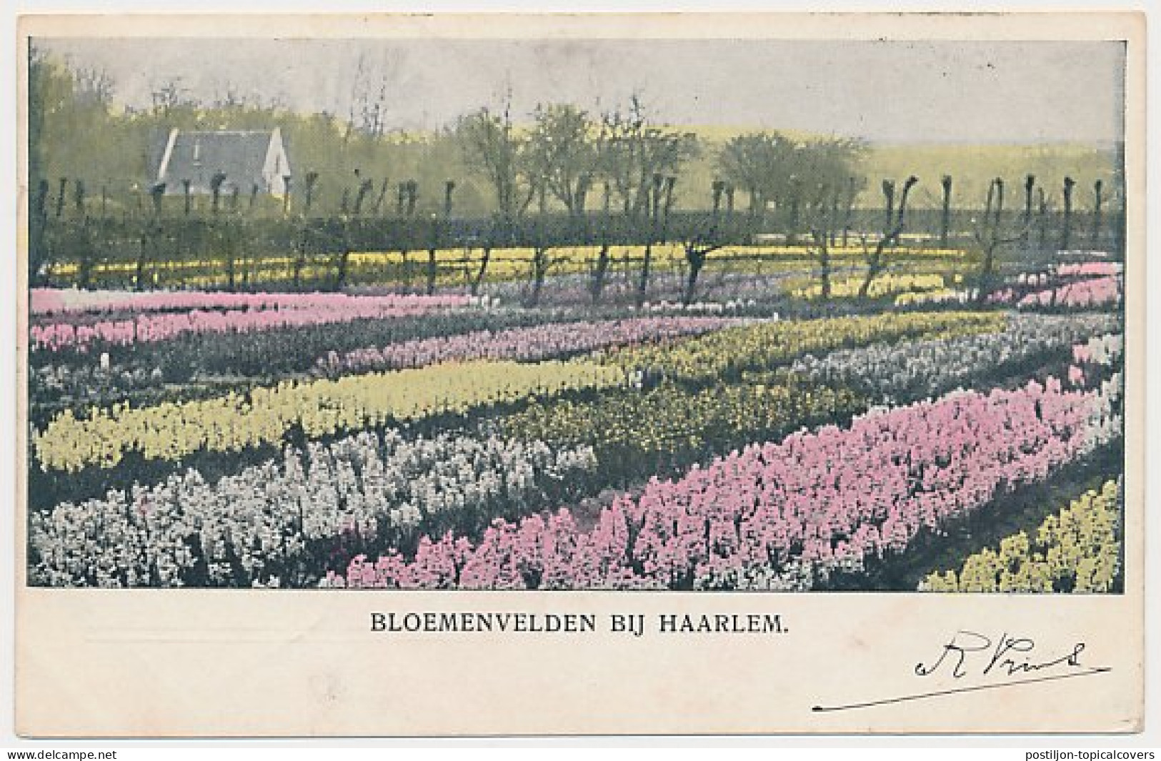 Trein Kleinrondstempel Amsterdam - Antwerpen C 1902 - Cartas & Documentos