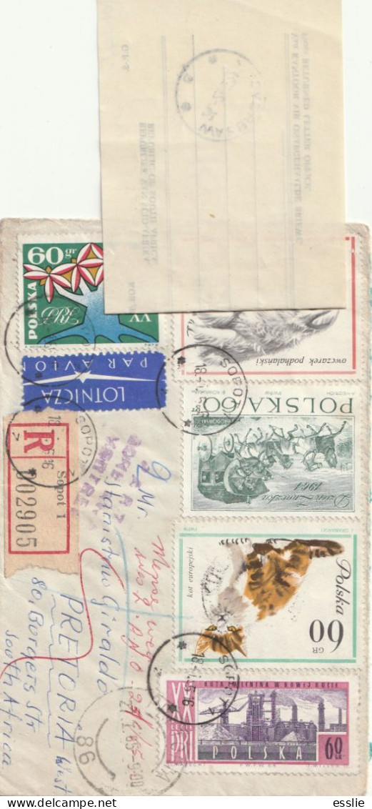 Poland Cover Return Sender Registered Retour - 1965 1964 - Stamp Day Cats Dogs Horses Lenin Metal Works Walbrzych Sopot - Cartas & Documentos