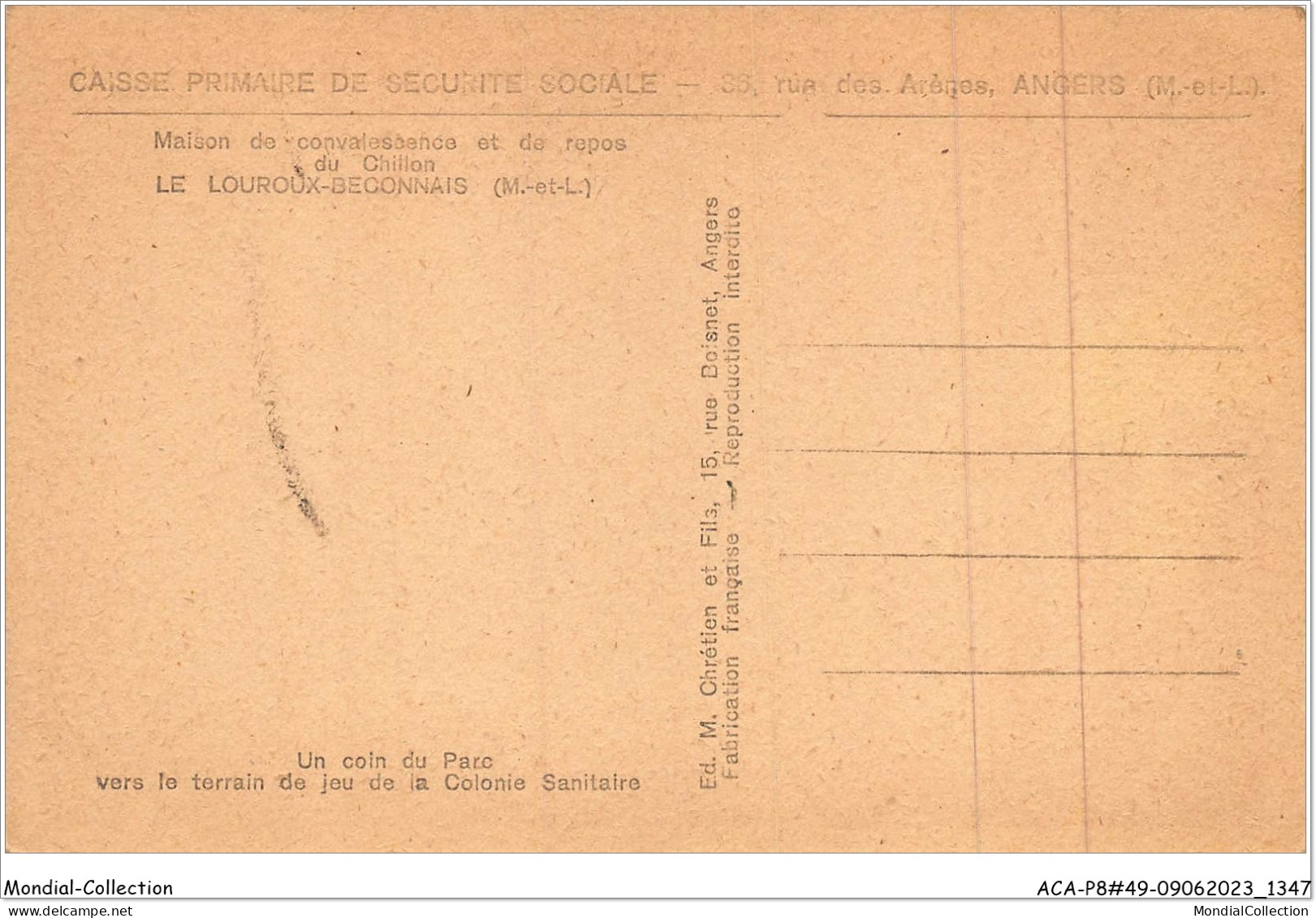 ACAP8-49-0677 - LE LOUROUX-BECONNAIS - Un Coin Du Parc Vers Le Terrain De Jeu De La Colonnie Sanitaire  - Le Louroux Beconnais