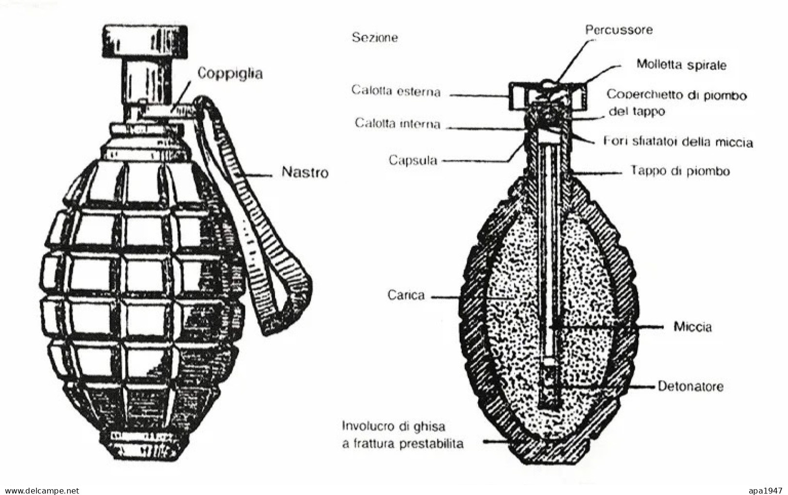 GRENADE S.I.P.E. ITALIE WWI