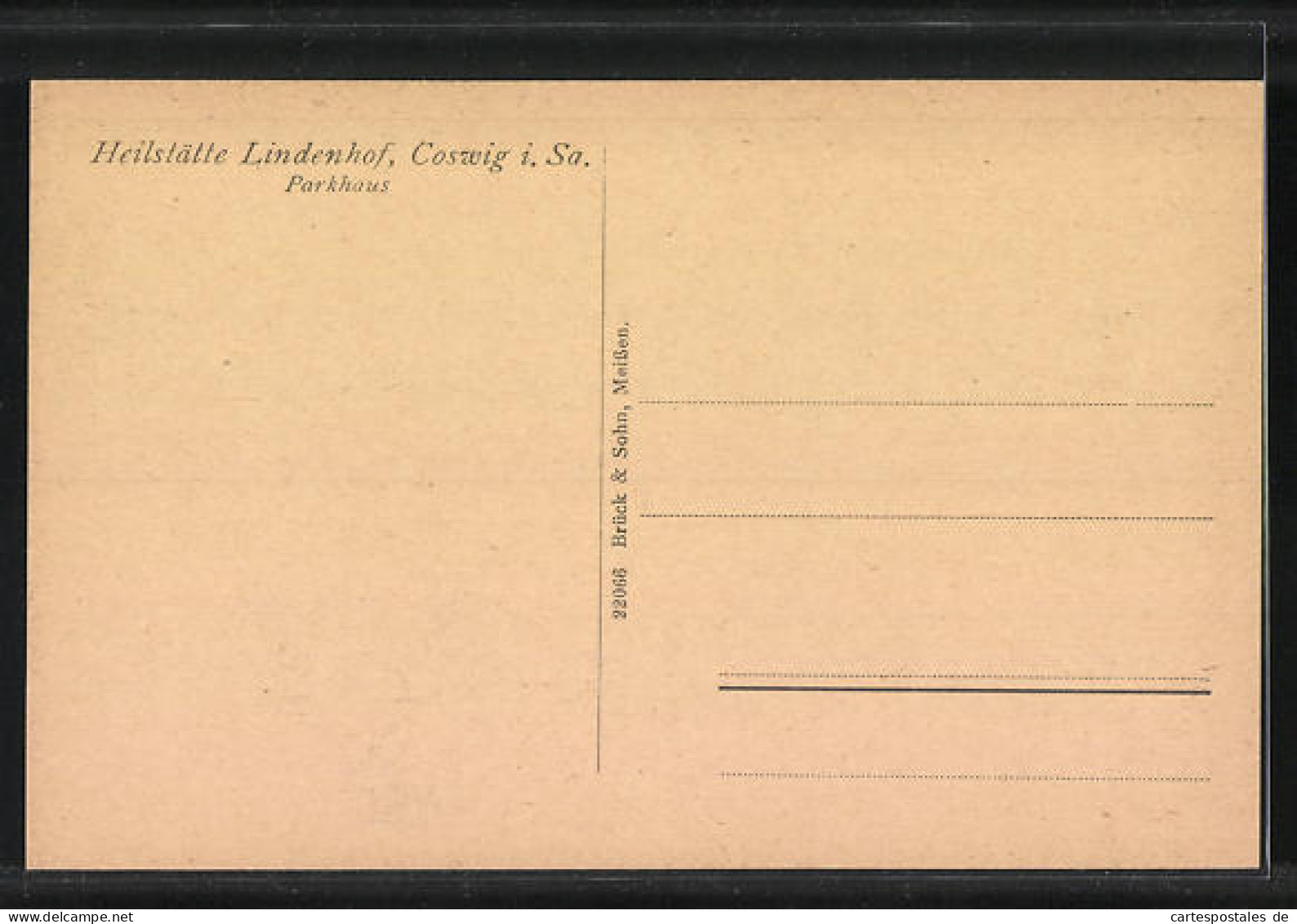 AK Coswig I. Sa., Parkhaus Der Heilstätte Lindenhof  - Coswig