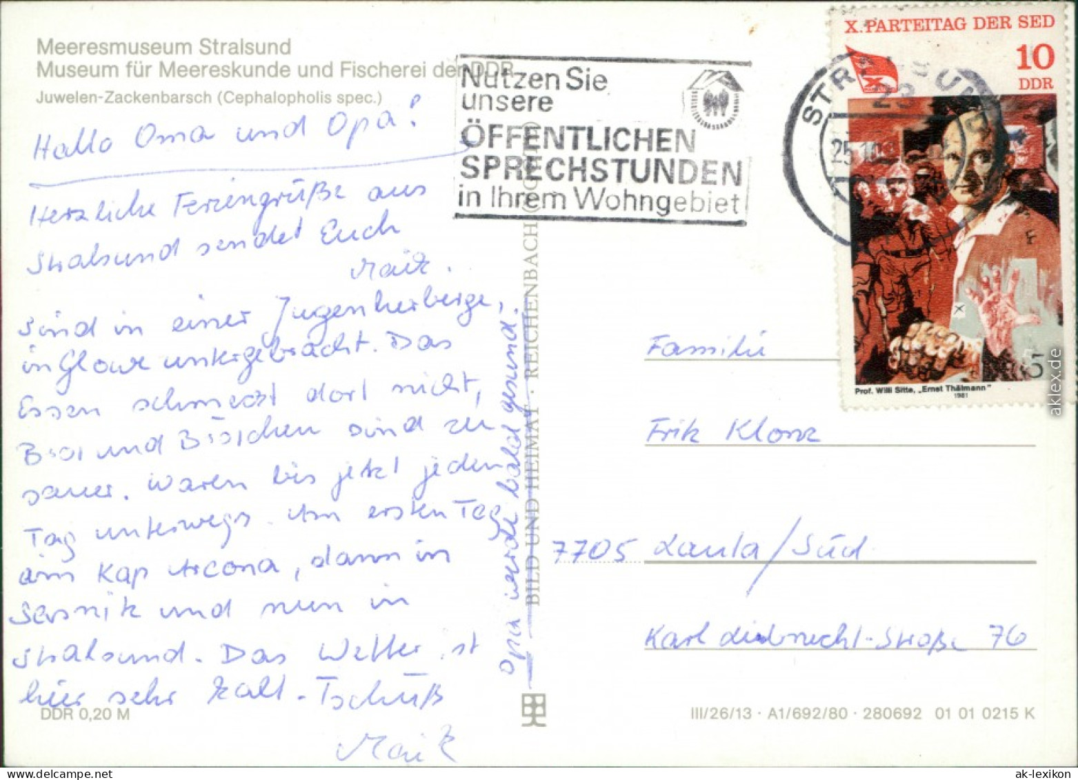 Ansichtskarte Stralsund Meeresmuseum: Juwelen-Zackenbarsch 1980 - Stralsund