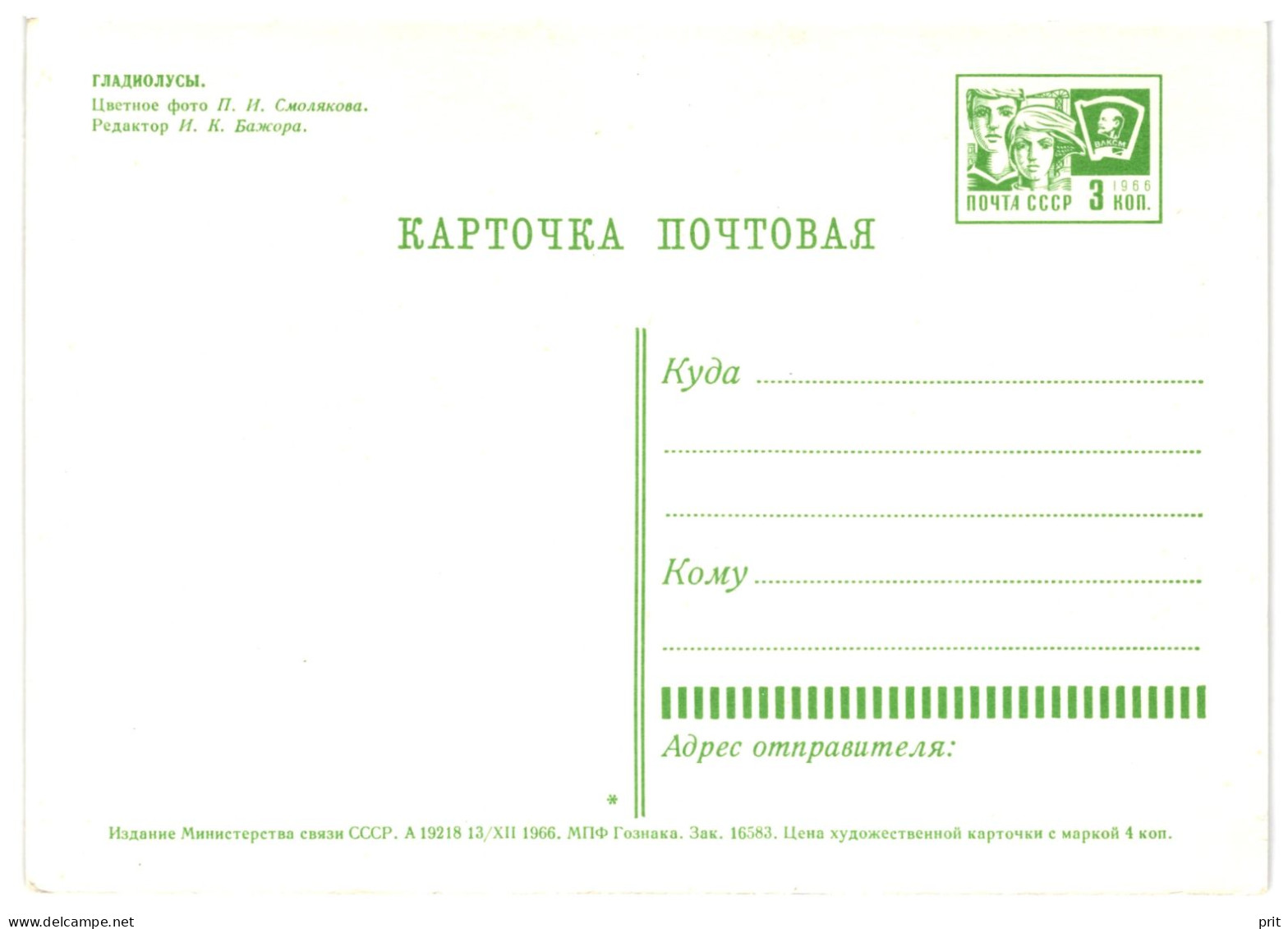 Pink Yellow White Gladiolus, Soviet Russia USSR 1966 3Kop Stamped Stationery Card Postcard Unused - 1960-69