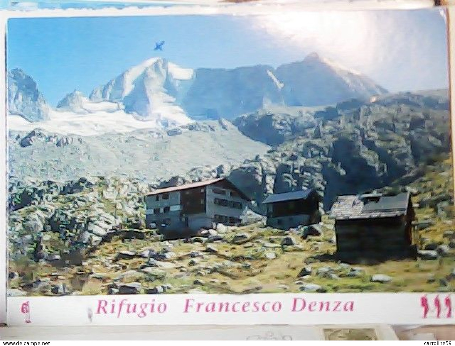 7 CARD TRENTINO -RIFUGIO VIEL DEL PIAN SELVATA PRESENA DENZA MAURIA  CANTORE  DES ALPES  VB1961<  JW6847 - Trento