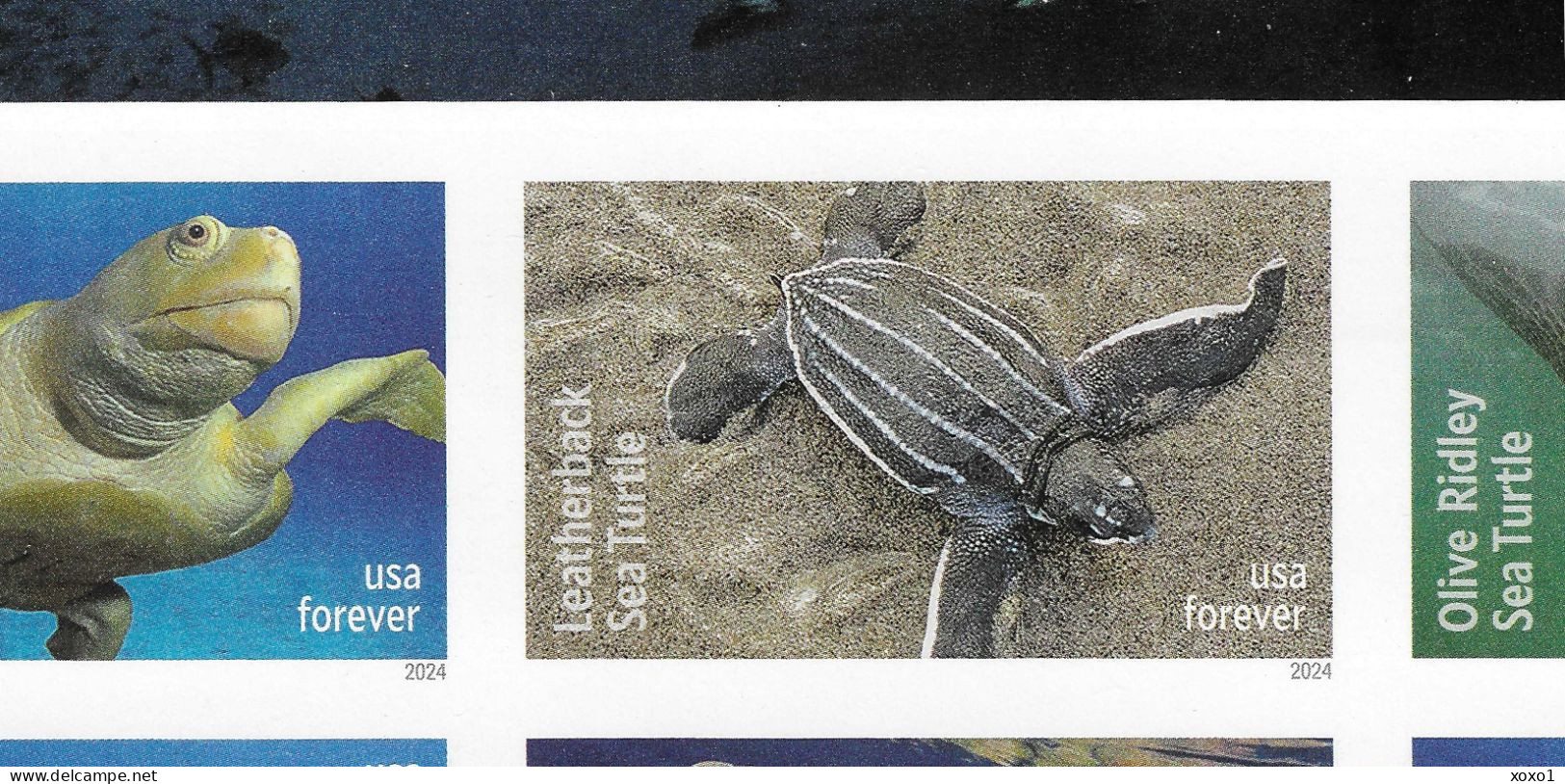 USA 2024 MiNr. XXXXBB Etats-Unis United States Reptiles, Sea Turtles Imperf ND M/sh MNH **  45.00 € - Ungebraucht
