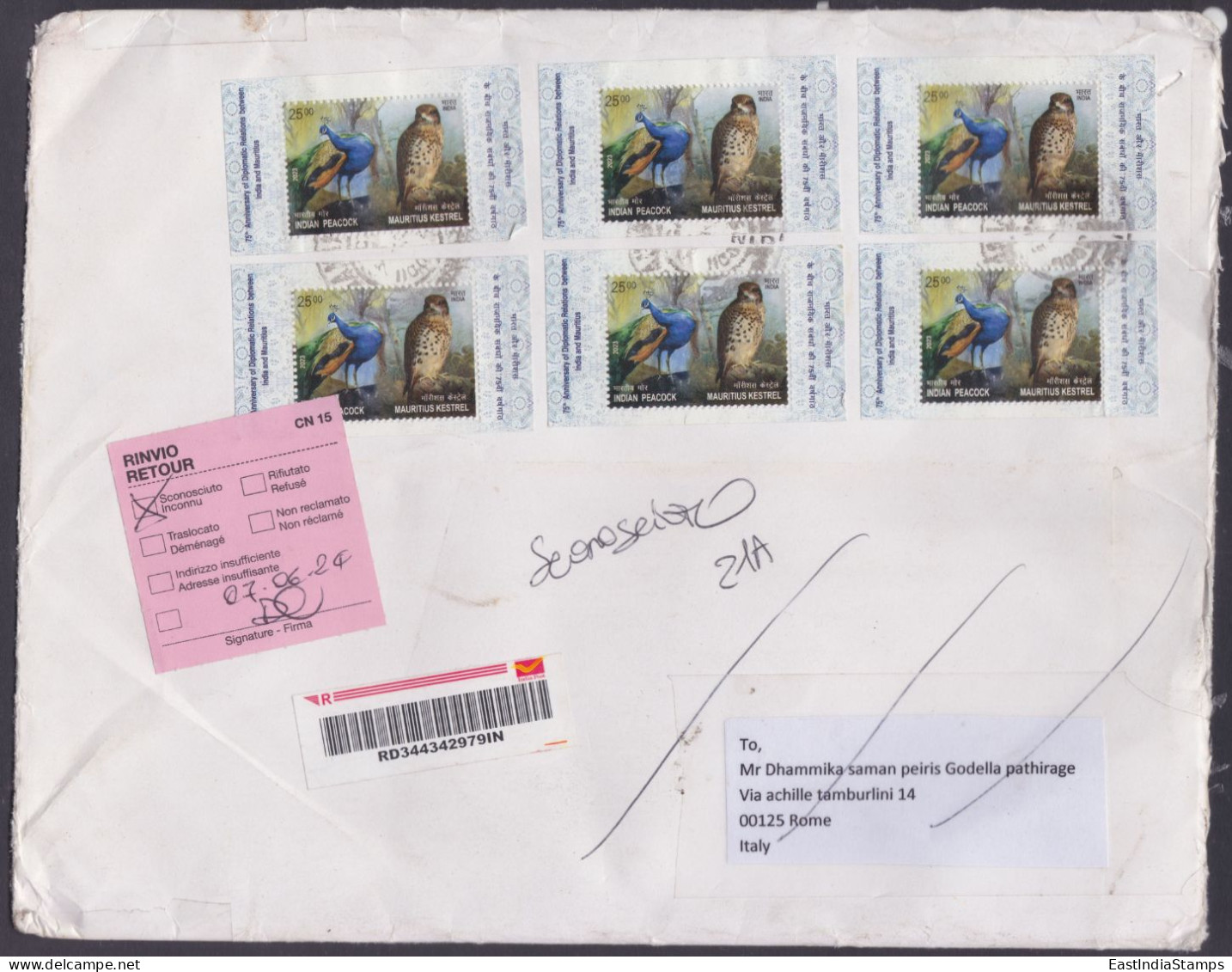 Inde India 2024 Used Registered Cover To Italy, Return Mail, Bird Stamps, Peacock, Mauritius Kestrel, Indian Joint Issue - Storia Postale