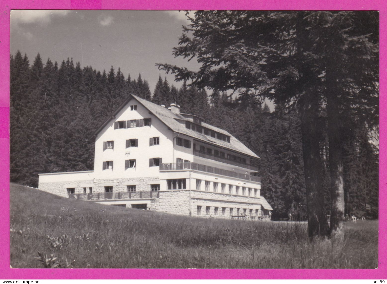 294832 / Yugoslavia Pokljuka (Slovenia) Sport Hotel Mountain PC 1958 Bled USED 17Din National Economy Cattle Horse Sheep - Lettres & Documents