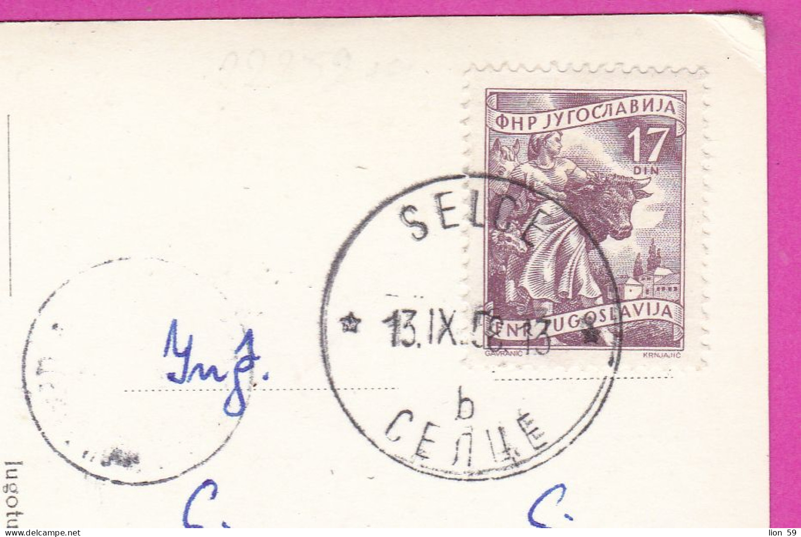 294834 / Yugoslavia - Village Selce (Croatia) PanoramaPC 1958 Selce USED 17Din National Economy Cattle Horse Sheep Woman - Storia Postale