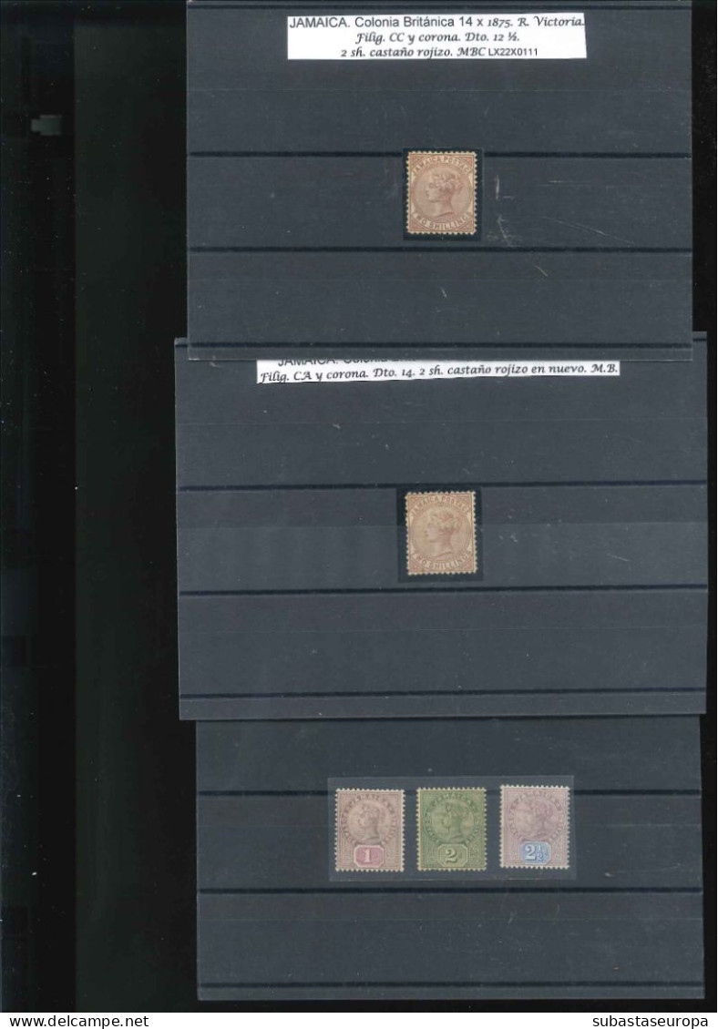 JAMAICA. Lote De Sellos Y Series En Nuevo Y Usado, Entre Los Nº 7/13 Y 181. Con Valores Interesantes. Montado En 22 Fich - Jamaica (...-1961)