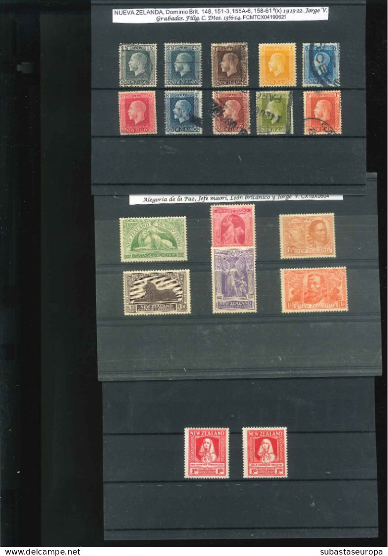 NUEVA ZELANDA. Lote De Sellos Y Series En Nuevo Y Usado. Desde 39/41 A 359/60. Montado En 30 Fichas. Buen Conjunto. - Unused Stamps