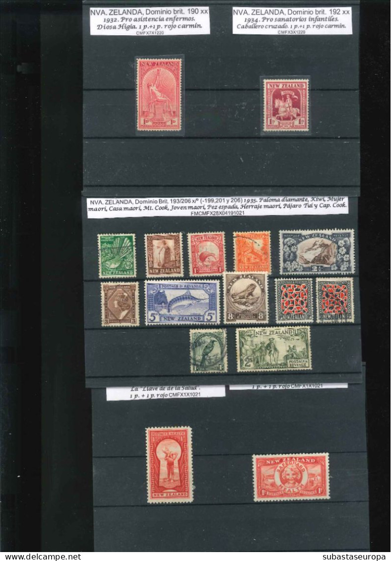 NUEVA ZELANDA. Lote De Sellos Y Series En Nuevo Y Usado. Desde 39/41 A 359/60. Montado En 30 Fichas. Buen Conjunto. - Unused Stamps