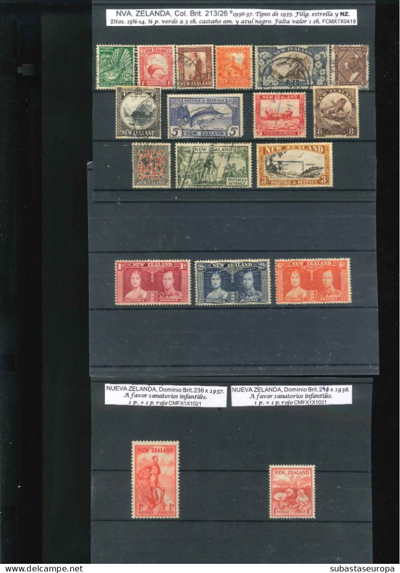 NUEVA ZELANDA. Lote de sellos y series en nuevo y usado. Desde 39/41 a 359/60. Montado en 30 fichas. Buen conjunto.