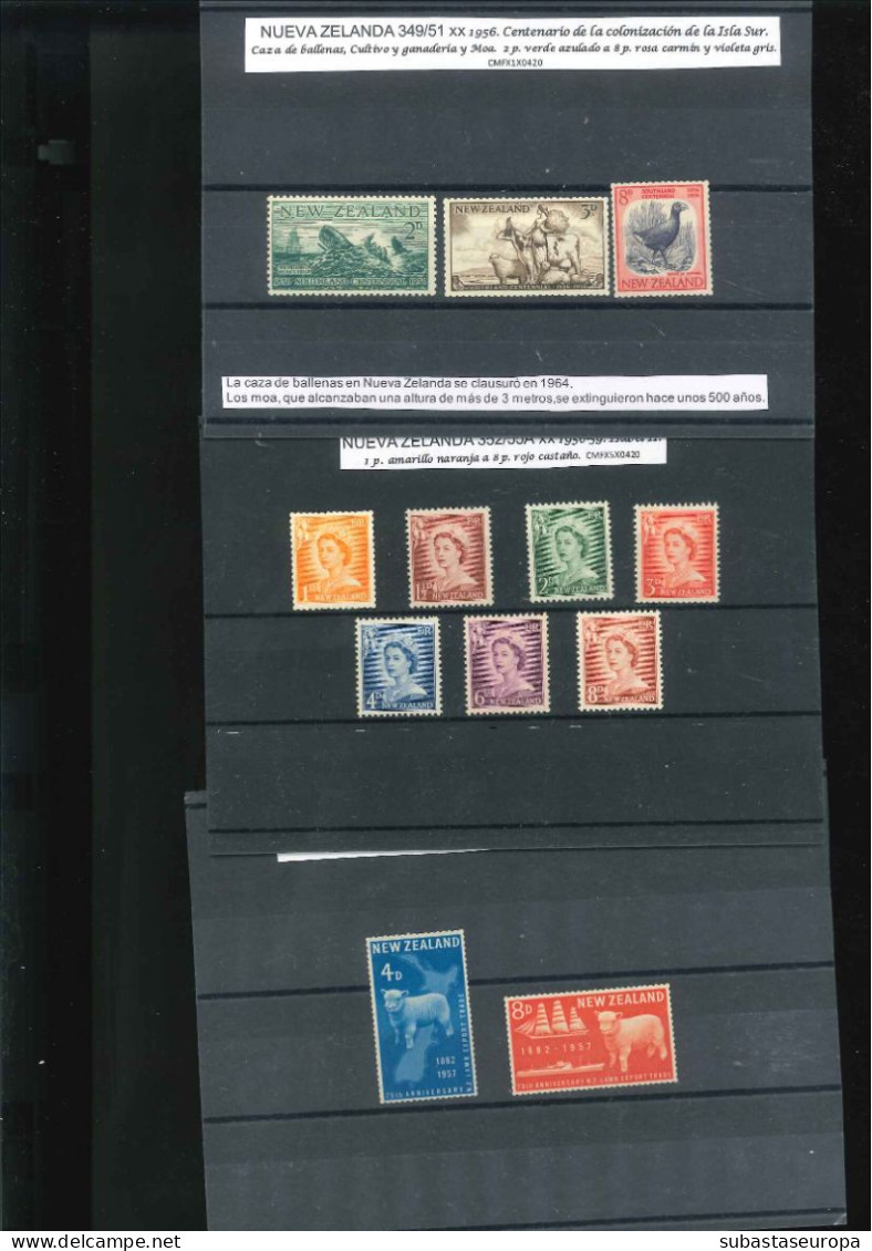 NUEVA ZELANDA. Lote de sellos y series en nuevo y usado. Desde 39/41 a 359/60. Montado en 30 fichas. Buen conjunto.