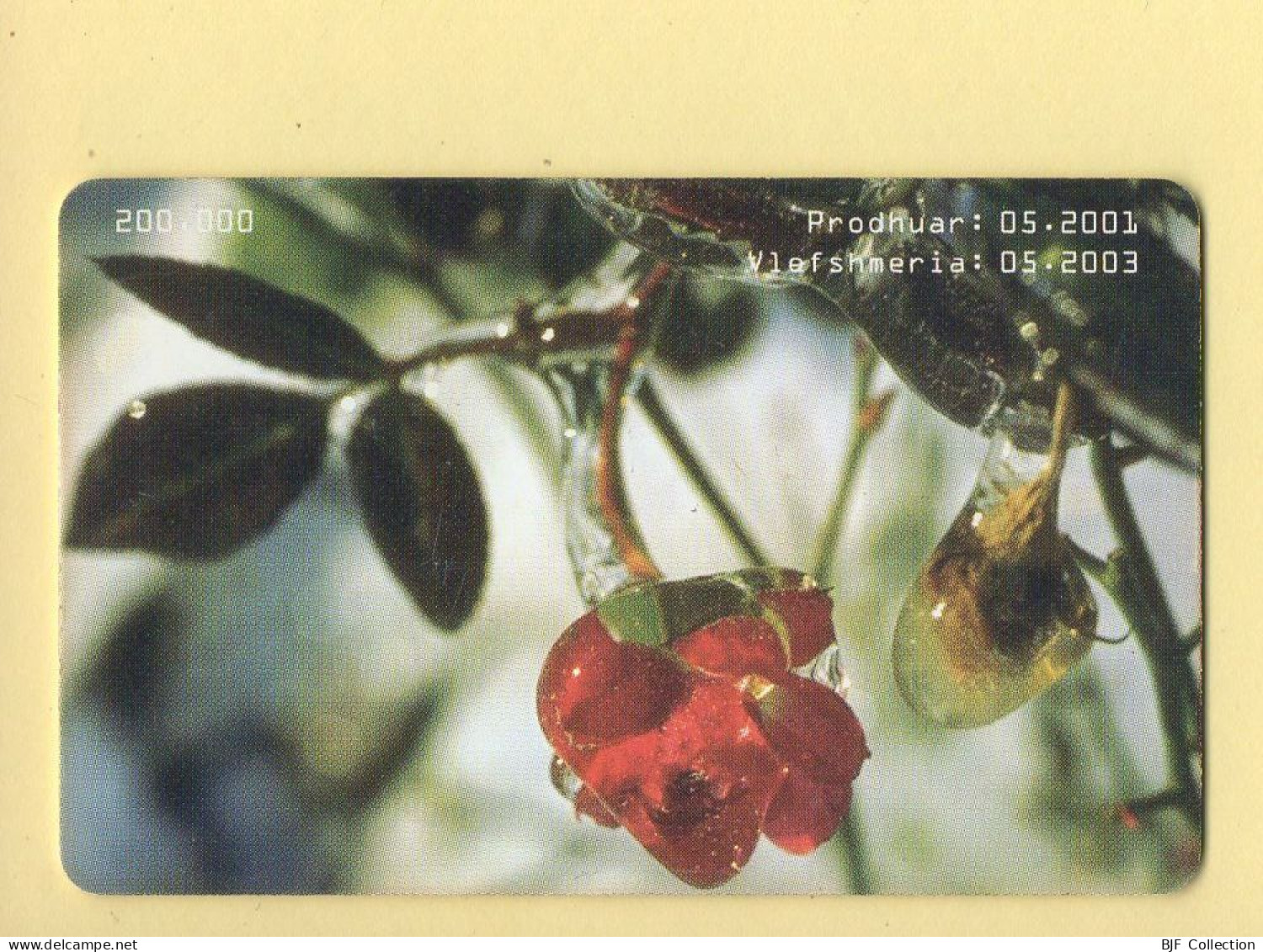 Télécarte : Albanie : Fleurs / Série 0504 034373 - Albanië