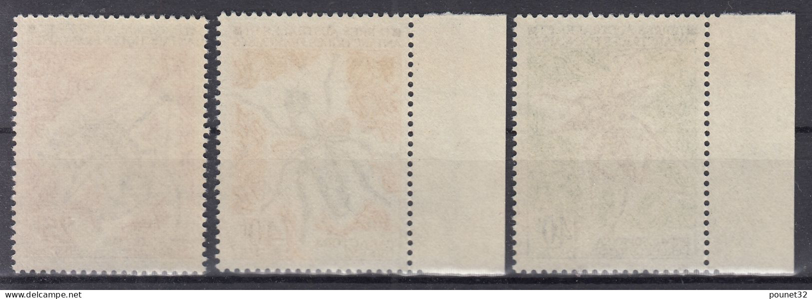 TIMBRE TAAF SERIE INSECTES 1972 N° 40/42 NEUFS ** GOMME SANS CHARNIERE - Unused Stamps