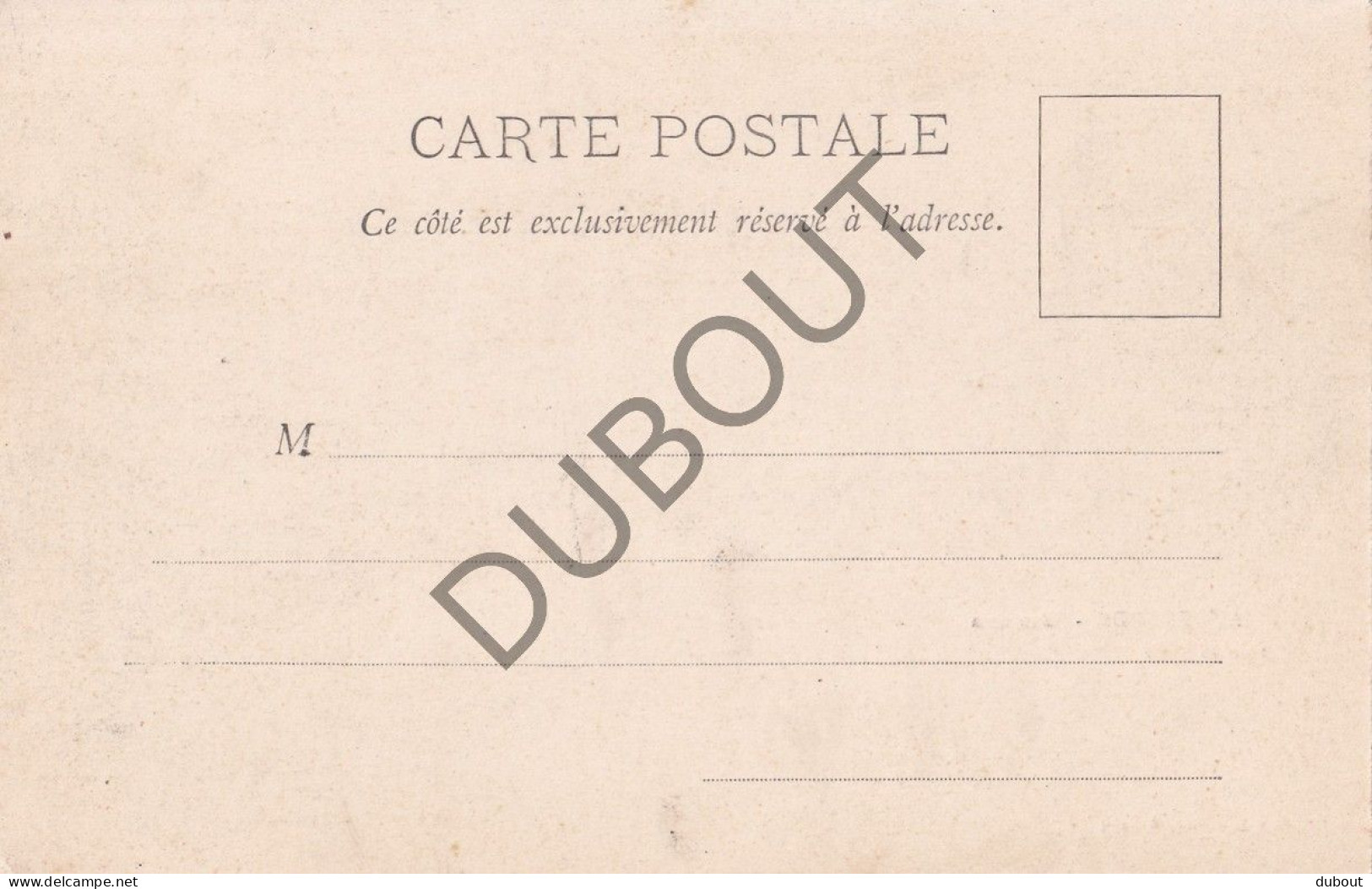 Postkaart/Carte Postale - Oudenaarde - Panorama (C6222) - Oudenaarde