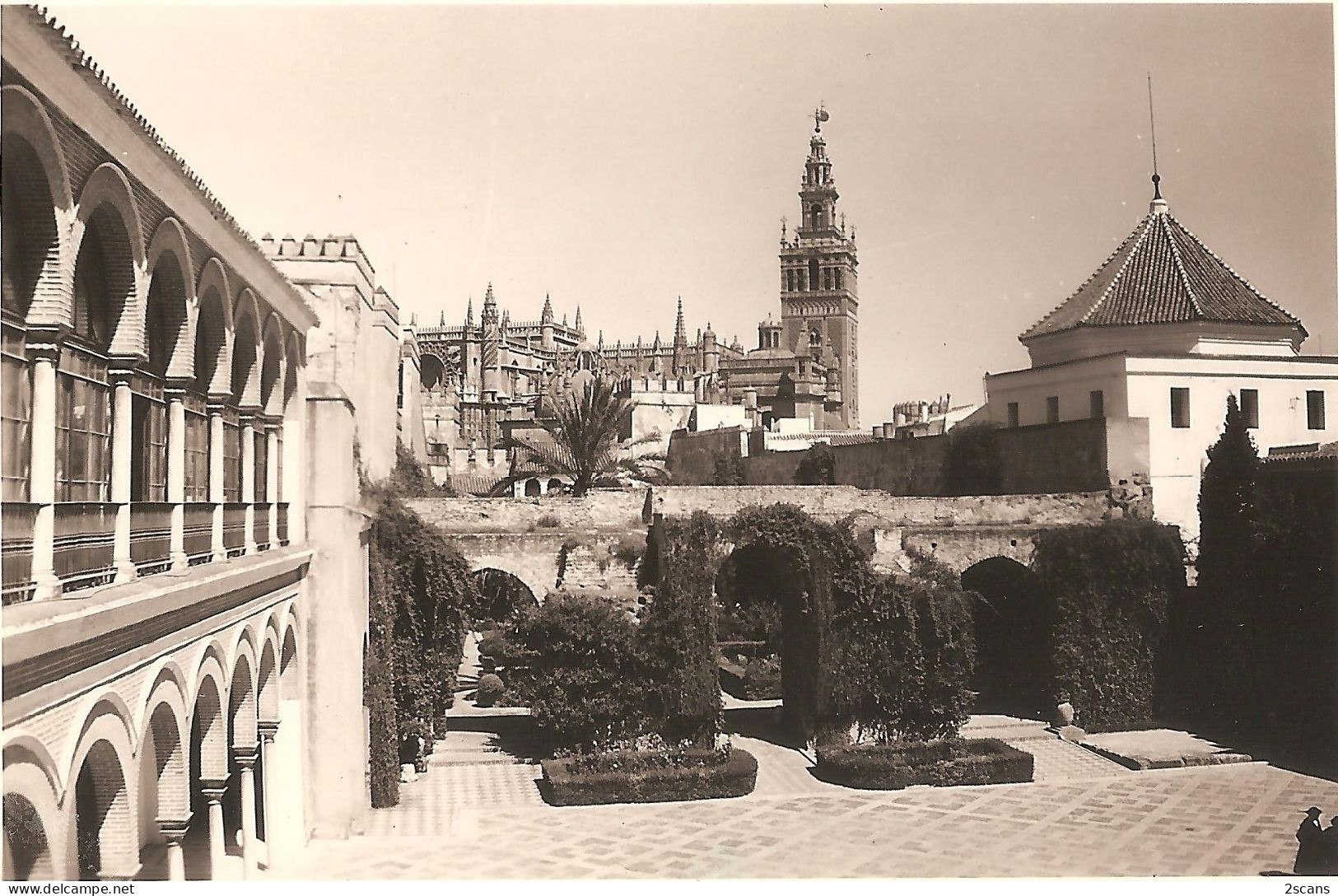 Espagne - SÉVILLE - SEVILLA - Lot De 4 Photographies 8,2 X 10,9 Cm Datées Août 1950 - ALHAMBRA - CATHÉDRALE - (photo) - Sevilla