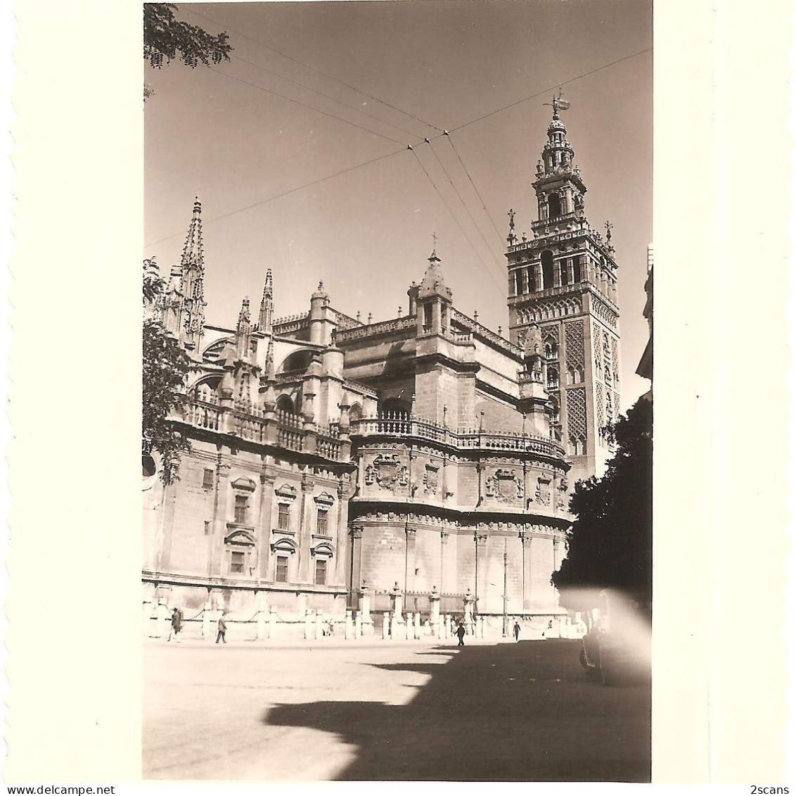 Espagne - SÉVILLE - SEVILLA - Lot De 4 Photographies 8,2 X 10,9 Cm Datées Août 1950 - ALHAMBRA - CATHÉDRALE - (photo) - Sevilla