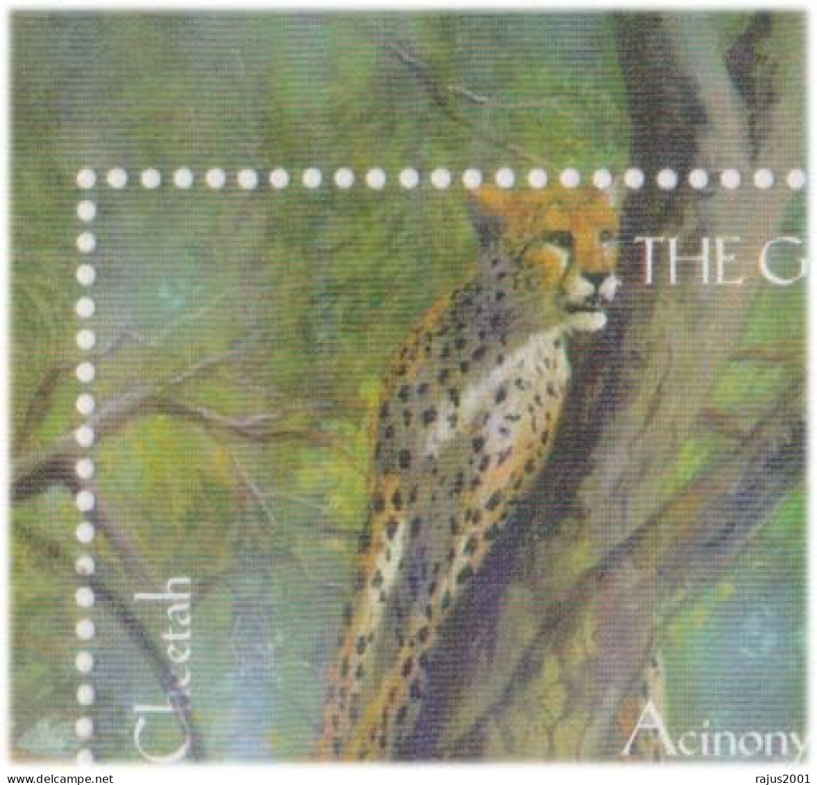 Animals In A Game Reserve, Cheetah, Black Rhinoceros, Giant Eland, Bontebok, Chimpanzee, Wild Animal, Mammals, Sheet FDC - Rhinozerosse