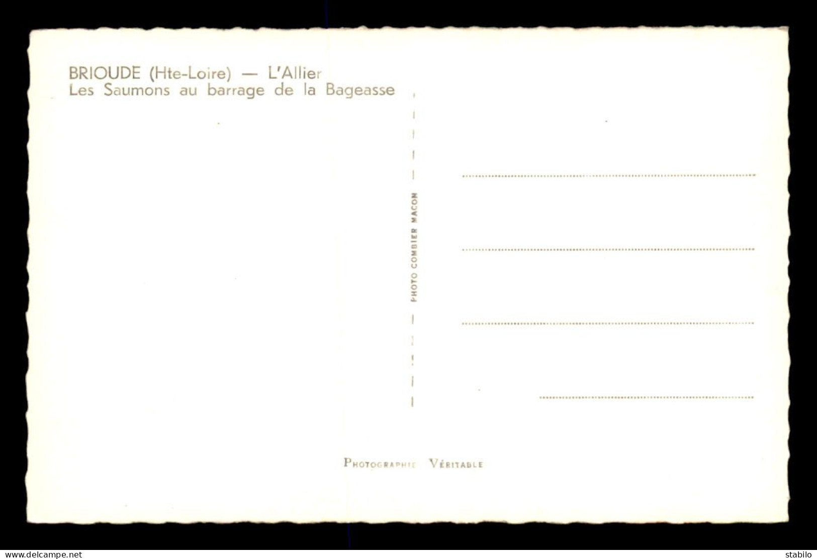 43 - BRIOUDE - LES SAUMONS AU BARRAGE DE LA BAGEASSE - Brioude