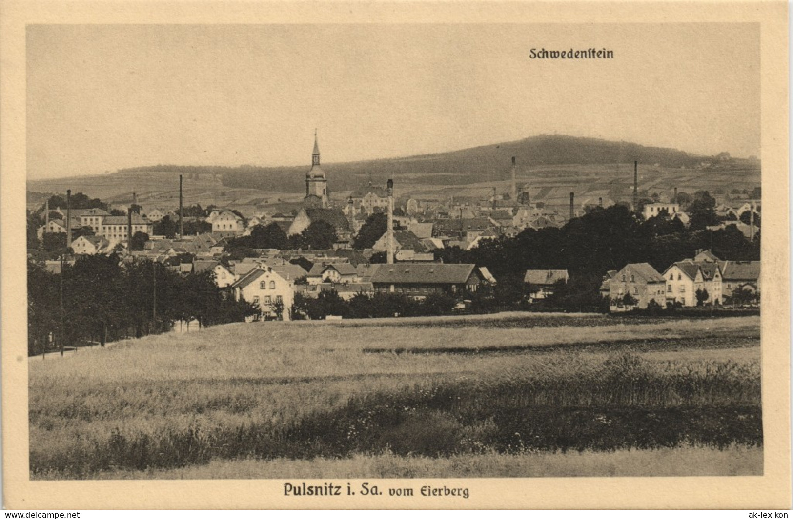 Ansichtskarte Pulsnitz Połčnica Stadt, Fabriken - Schwedenstein 1913 - Pulsnitz