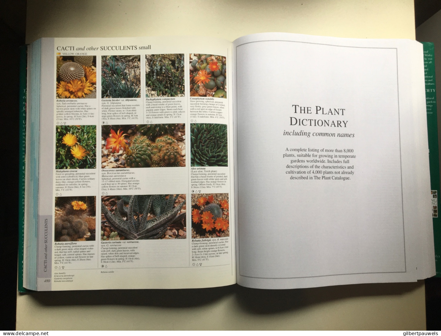 Encyclopedie Of Plants And Flowers - Jardin