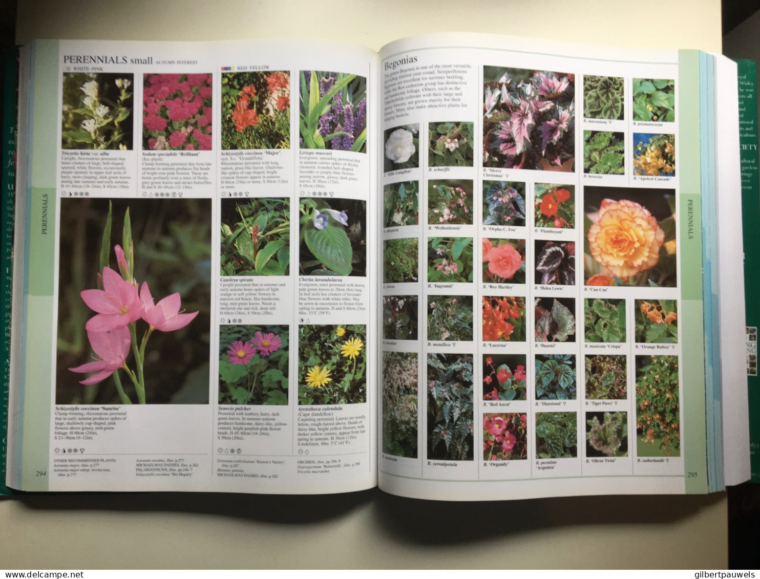 Encyclopedie Of Plants And Flowers - Tuinieren