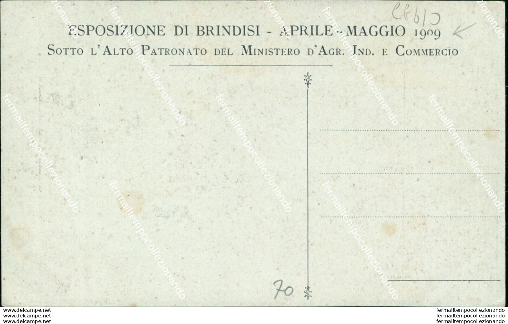 Cg610 Cartolina Brindisi Esposizione Agricola Industriale Zootecnica 1909 - Brindisi