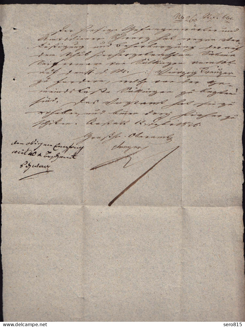 Baden - 1825 Brief RASTATT L2b Mit Inhaltn   (15853 - Andere & Zonder Classificatie