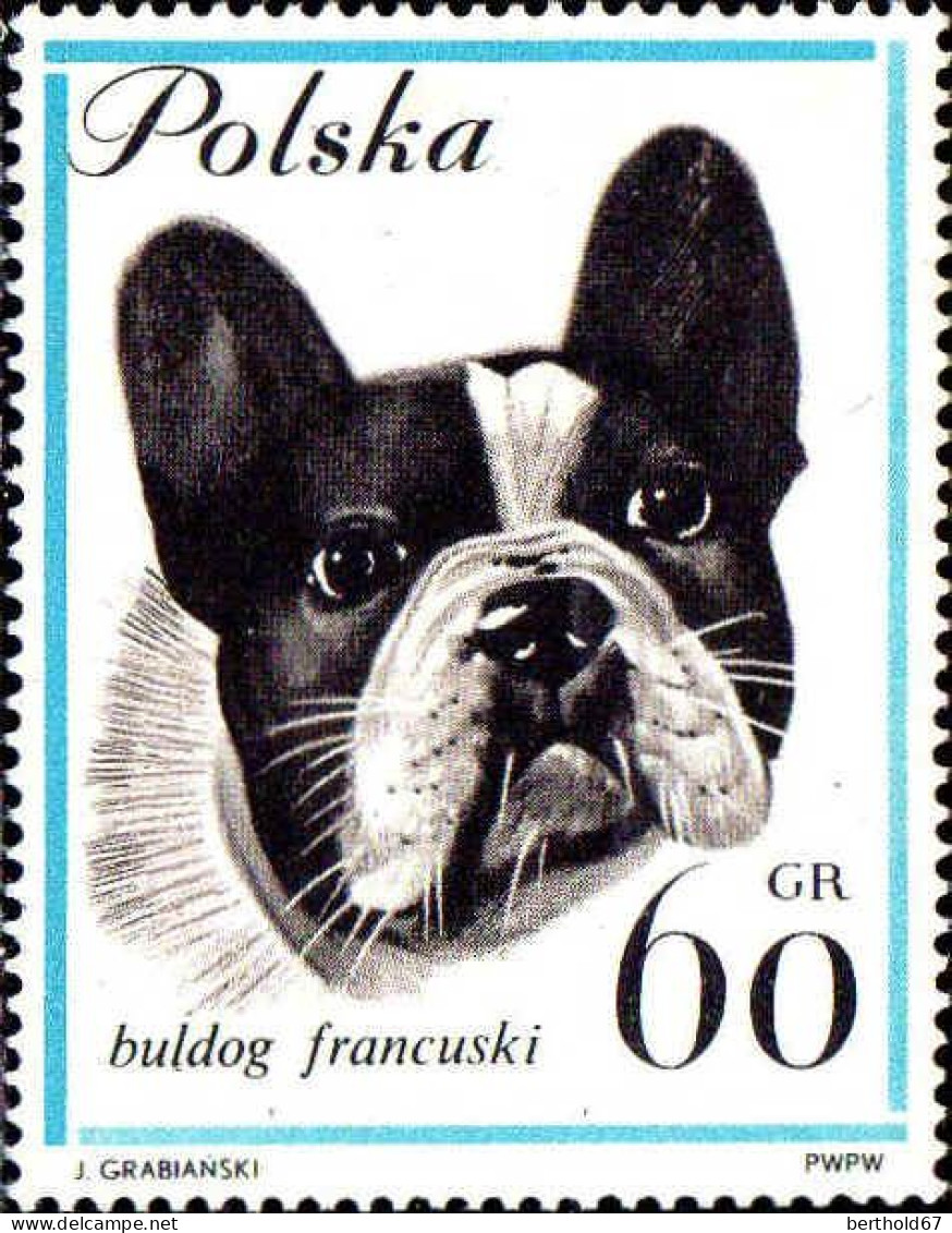 Pologne Poste N** Yv:1232/1240 Chiens De Race - Neufs