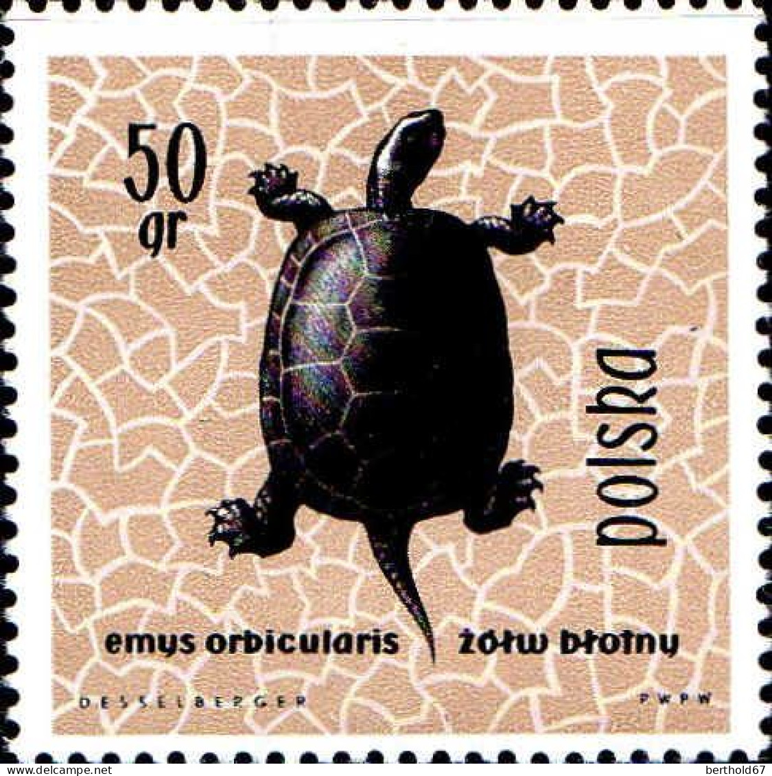 Pologne Poste N** Yv:1259/1270 Reptiles & Amphibiens - Nuovi