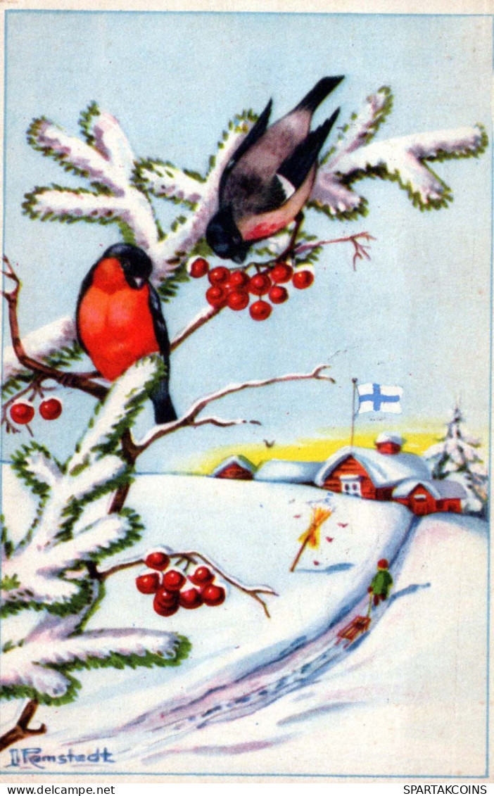 Feliz Año Navidad PÁJARO Vintage Tarjeta Postal CPA #PKE812.A - Nouvel An
