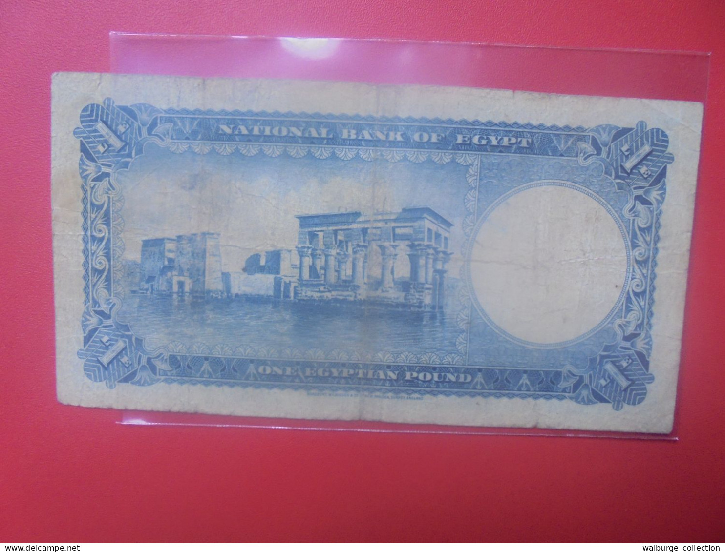 EGYPTE 1 POUND 1950-52 Circuler (B.34) - Egypt