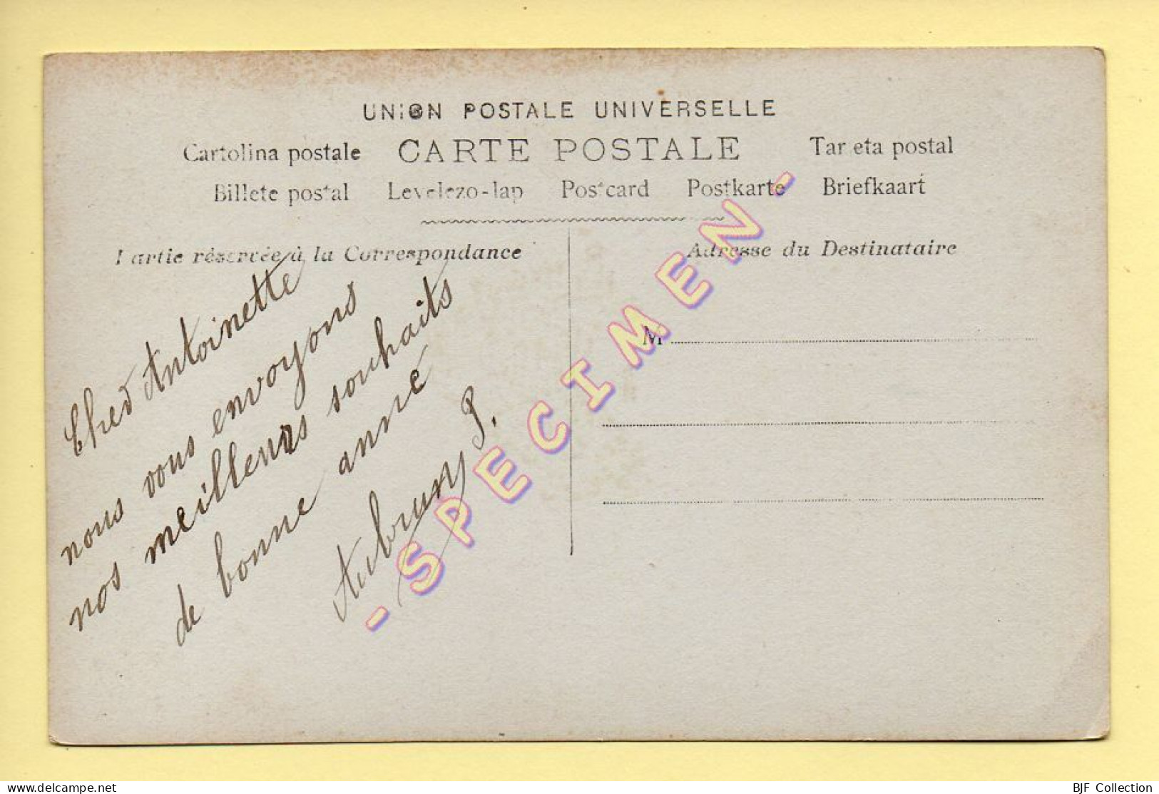 Bonne Année : Femme / Panier / Houx / Gui / Fleurs  (voir Scan Recto/verso) - Anno Nuovo