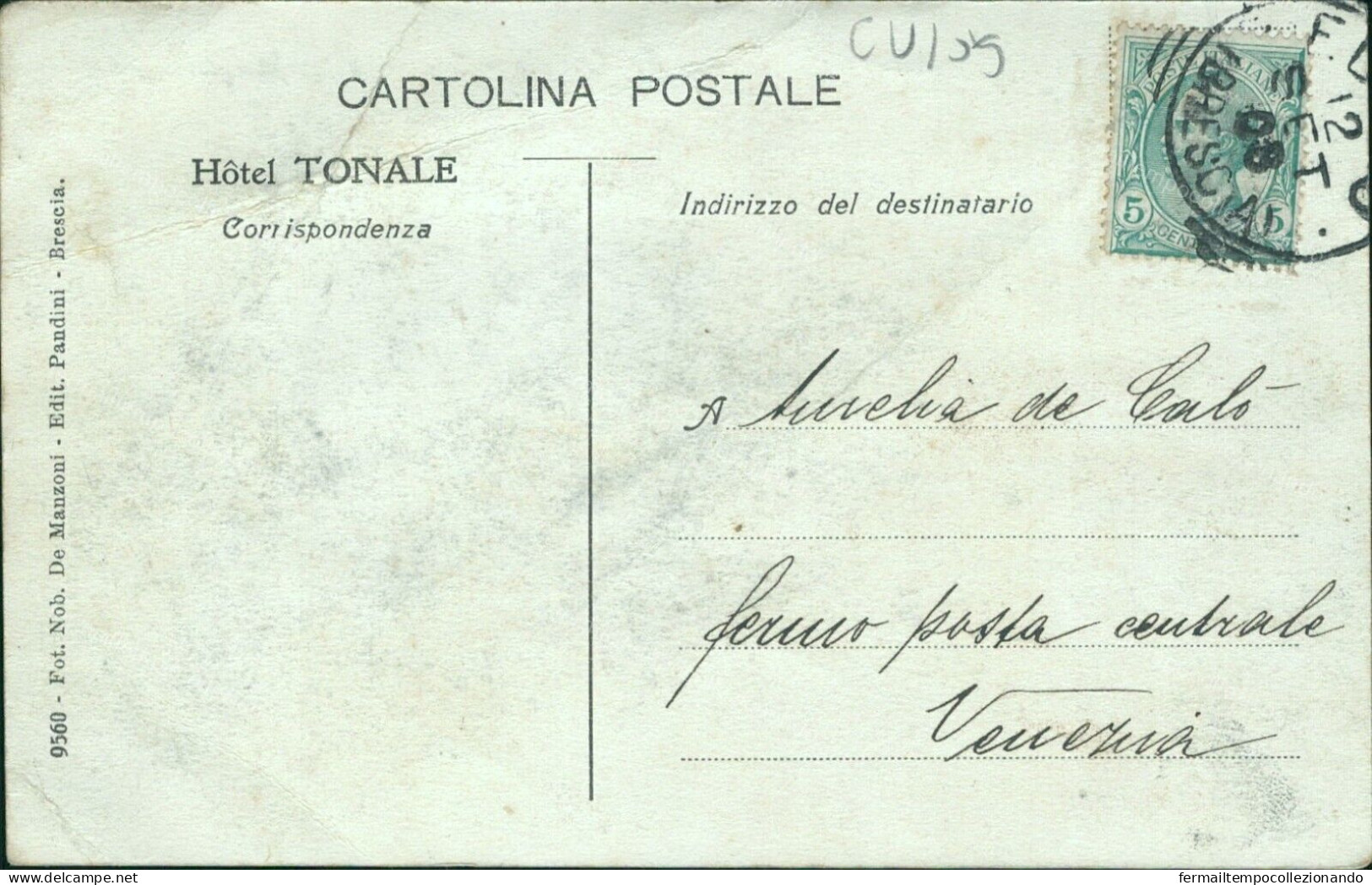 Cu105 Cartolina Strada Del Tonale Svolta Princ.margherita Brescia - Brescia