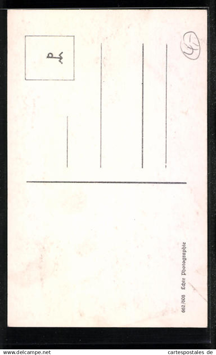 AK Potsdam, An Der Orangerie  - Otros & Sin Clasificación