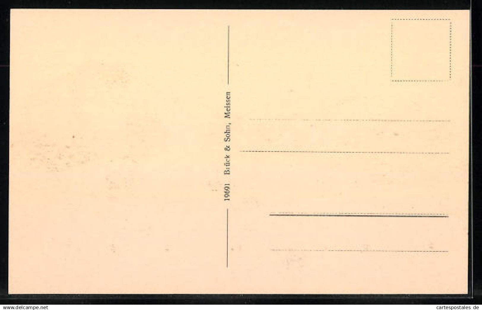 AK Pulsnitz I. Sa., Neue Schule  - Pulsnitz