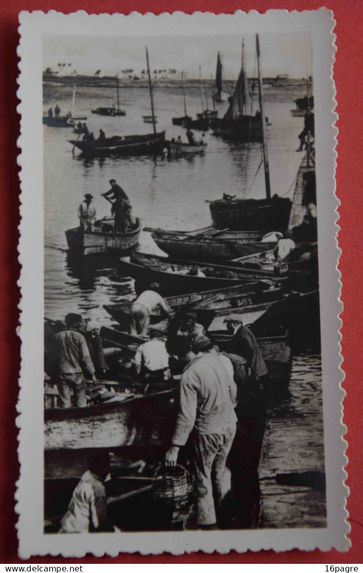 LOT DE DEUX TIRAGES ARGENTIQUES. PORT MARIA, QUIBERON, PÊCHEURS, SARDINIERS, VERS 1960. POISSON, SARDINE - Boats