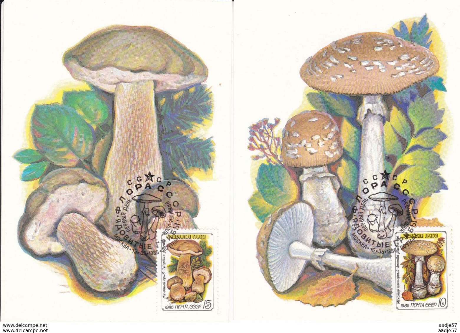 Russia 1986 - 5 Max Cards 5603-5607 Yv 5304-5308 Mushrooms - Mushrooms