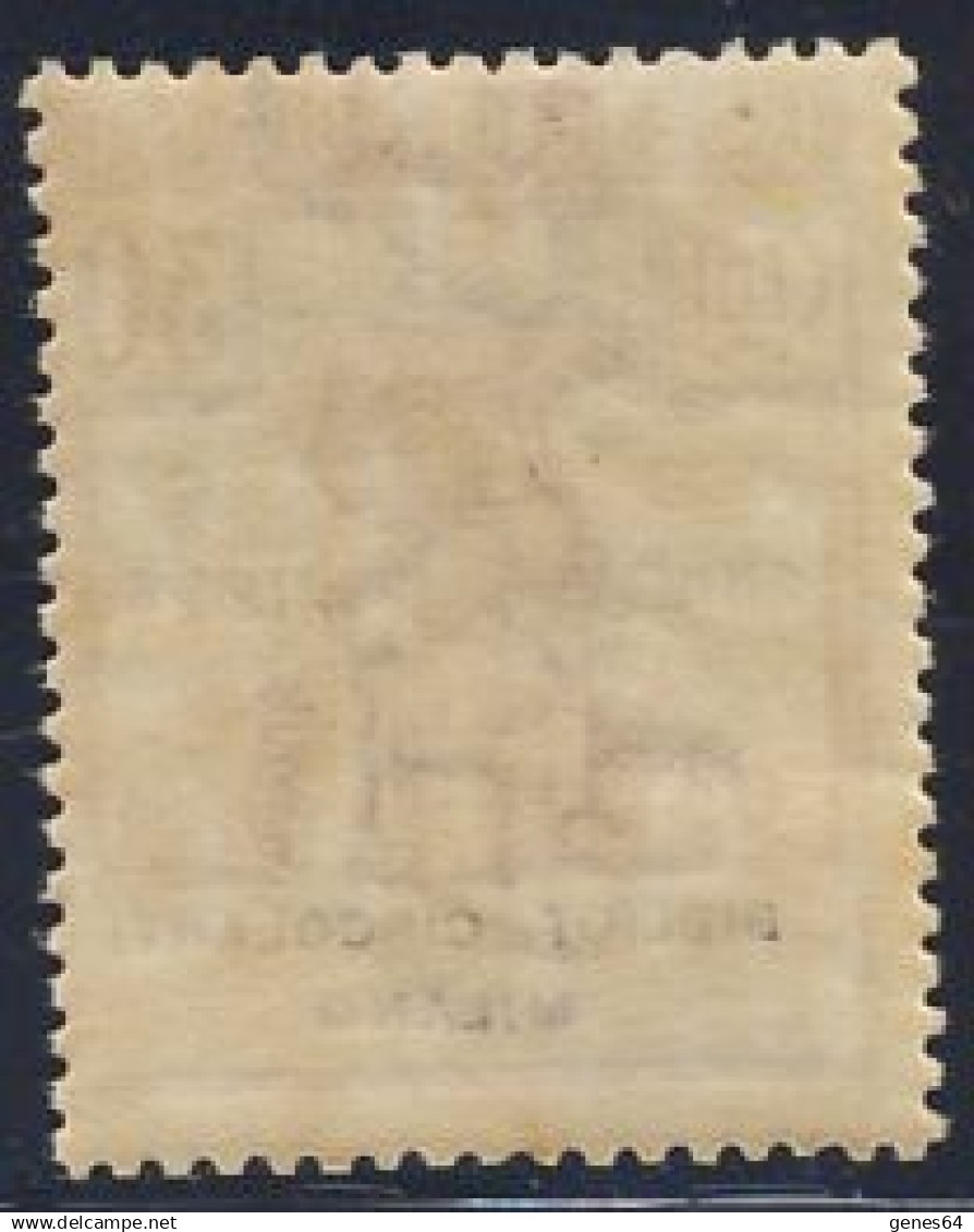 1924 - Enti Parastatali - Bibliot. Circolanti Milano - 30 C. Bruno Nuovo MNH (Sassone N.15) 2 Immagini - Nuovi