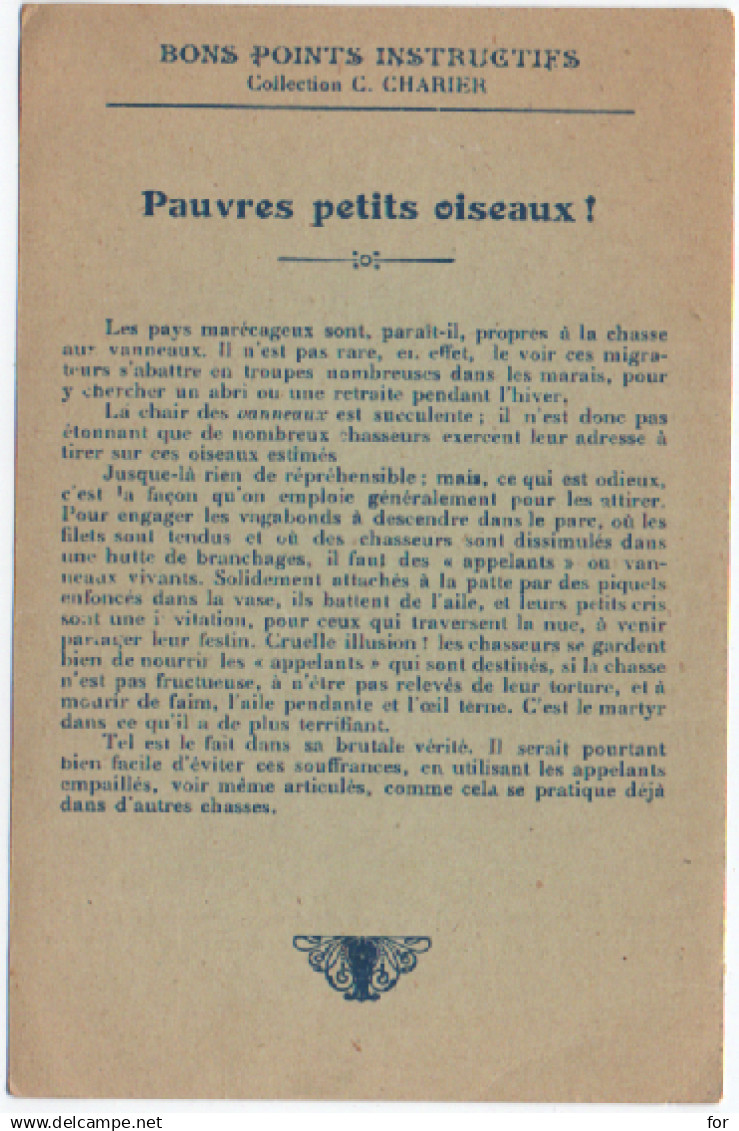 Chromo - Image - Bon Point : Protégeons Les Animaux: Cruel Supplice : Chasseur Tirant Sur Des Canards : Illust. Grellet - Andere & Zonder Classificatie