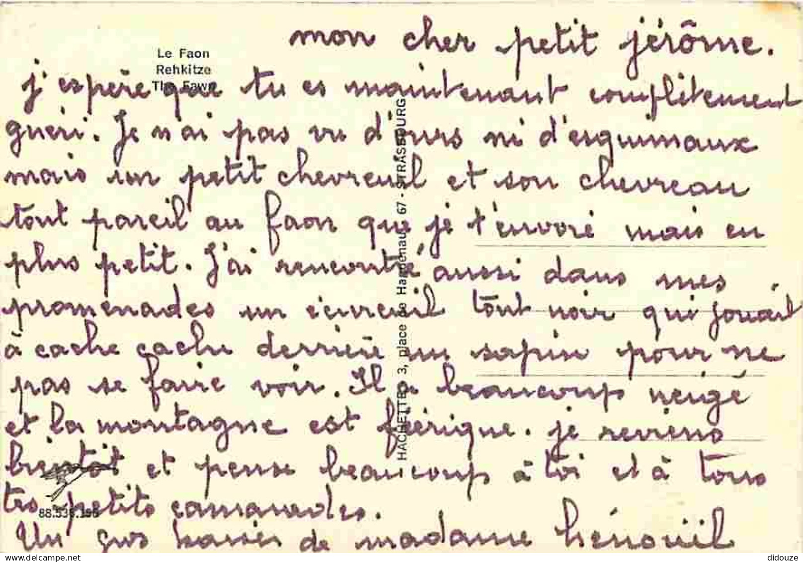 Animaux - Biches - Chevreuils - Faon - CPM - Voir Scans Recto-Verso - Otros & Sin Clasificación