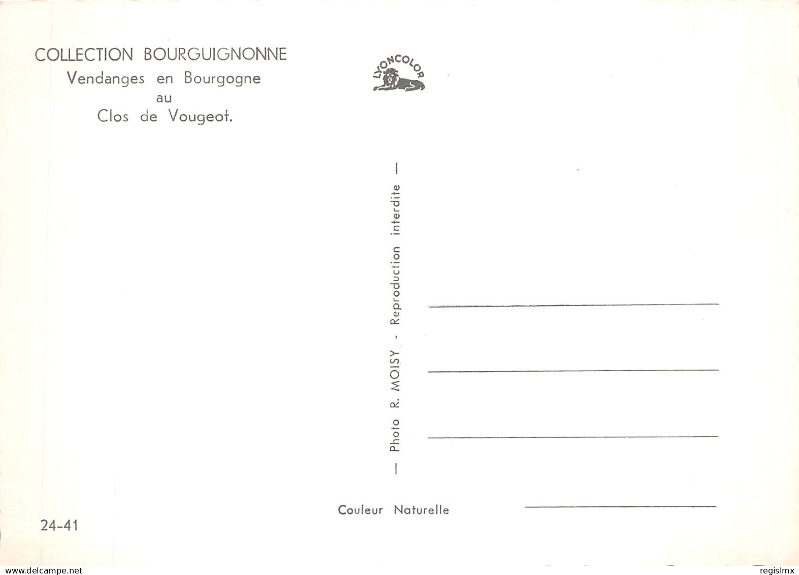 21-BOURGOGNE VENDANGES AU CLOS DE VOUGEOT-N°T1088-D/0005 - Sonstige & Ohne Zuordnung