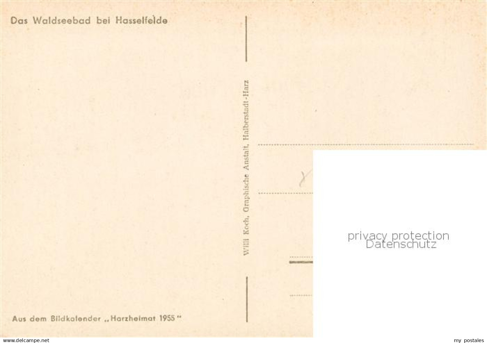 73811659 Hasselfelde Waldseebad Aus Bildkalender Harzheimat 1955 Hasselfelde - Sonstige & Ohne Zuordnung