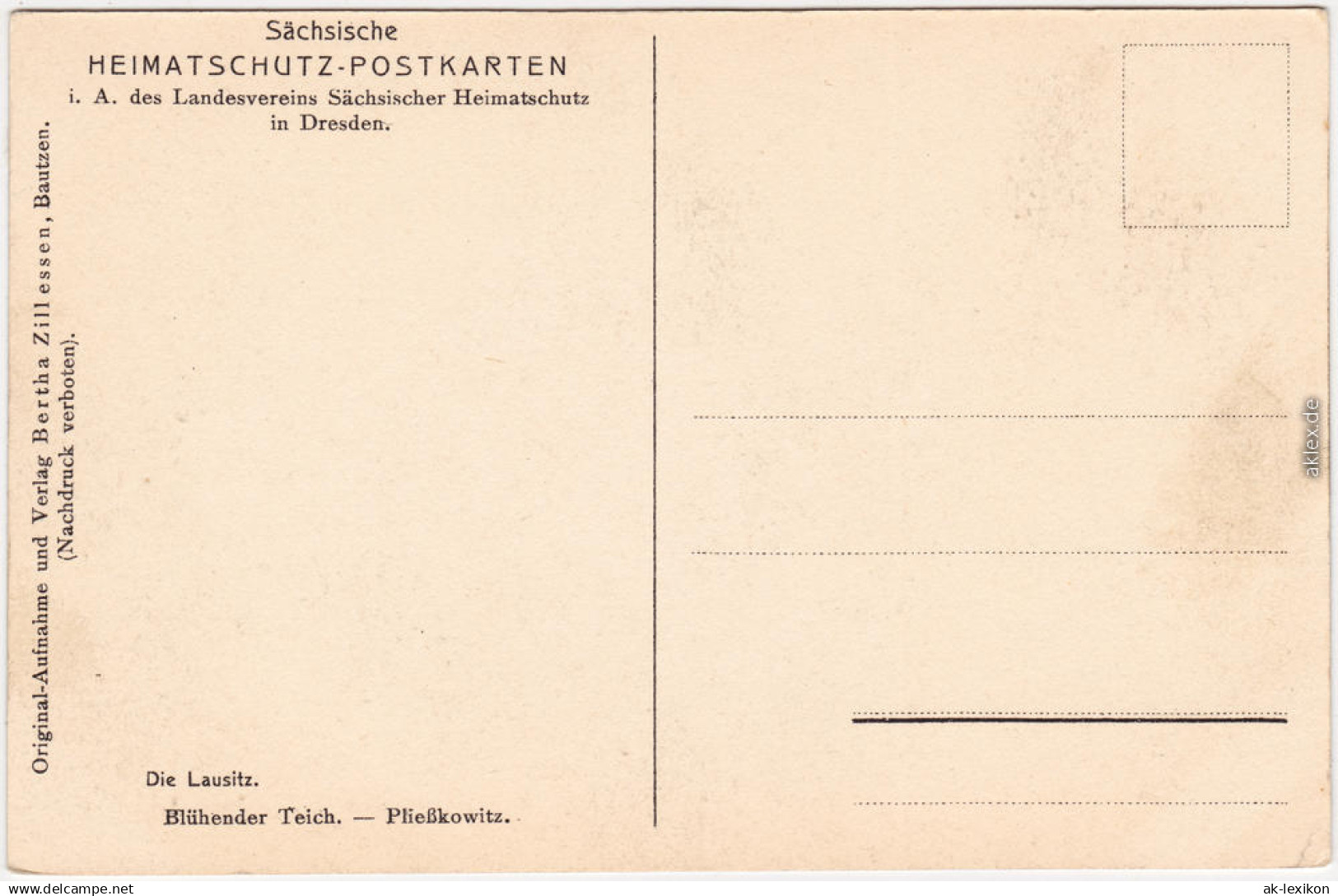 Pließkowitz Malschwitz Malešecy Partie Am Teich Oberlausitz B Bautzen 1926 - Otros & Sin Clasificación