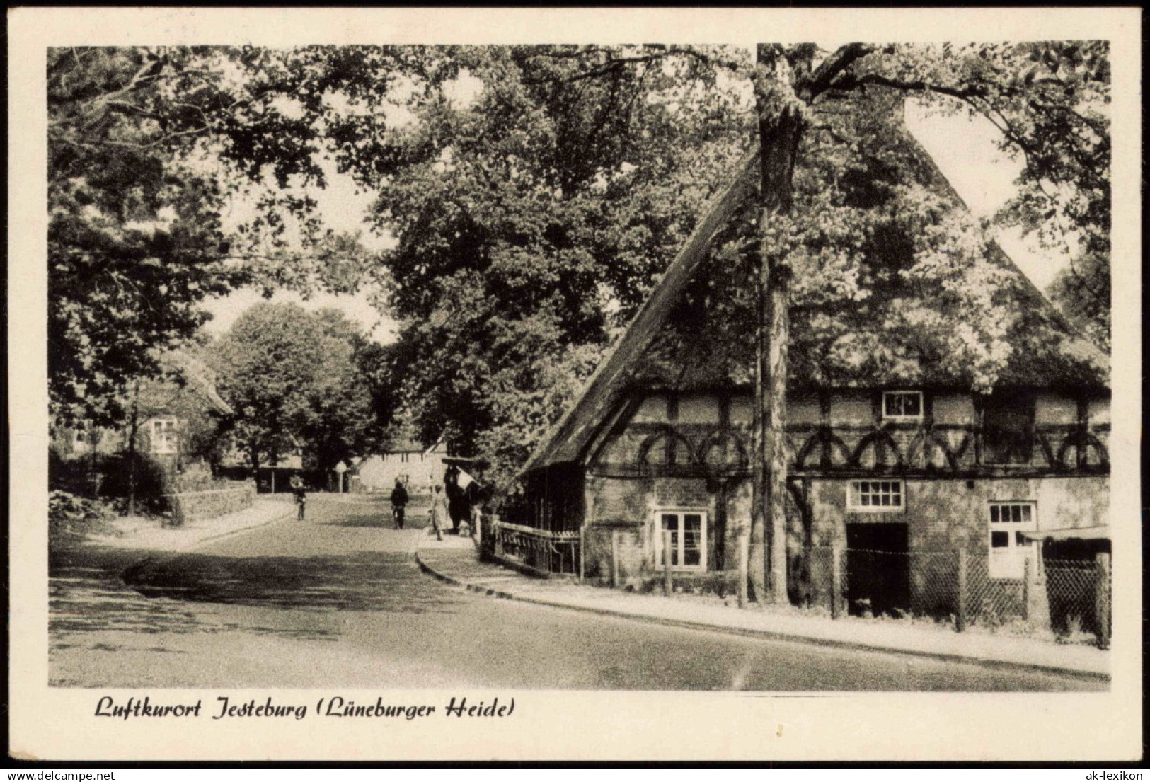 Ansichtskarte Jesteburg Straßenpartie Am Fachwerkhaus 1964 - Sonstige & Ohne Zuordnung